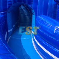 Toboggan aquatique gonflable géant pour enfants, avec zone de saut et jeux, pour parc d'attractions commercial extérieur