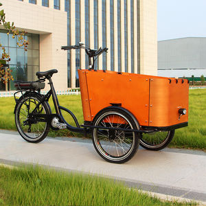 Vélo cargo familial à trois roues électrique à <span class=keywords><strong>assistance</strong></span> au pédalage, vente chaude, vélo cargo hollandais, boîte de chargement avant, <span class=keywords><strong>tricycle</strong></span> <span class=keywords><strong>adulte</strong></span> - Product Image 3