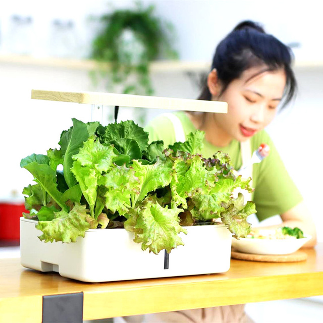Complete Hydroponic System WIFI Remote Control Plant Grow Box for Growing Vegetable in Home Decoration