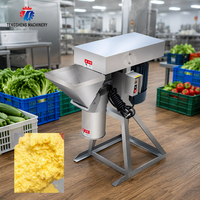 Machine à pâte d'ail de qualité supérieure, machine de traitement automatique de l'ail, équipement alimentaire commercial pour l'industrie