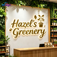 Enseigne commerciale LED rétroéclairée en acier inoxydable pour usage domestique et professionnel, avec rainure de guidage lumineux en acrylique et transformateur, idéale pour bâtiments et bars