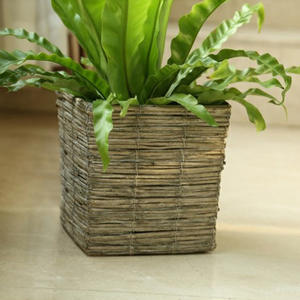 Pot de fleurs tissé en saule avec intérieur en plastique, style rétro tissé en rotin anti-<span class=keywords><strong>goutte</strong></span>, déco <span class=keywords><strong>plante</strong></span> en pot pour balcon de cour - Product Image 1