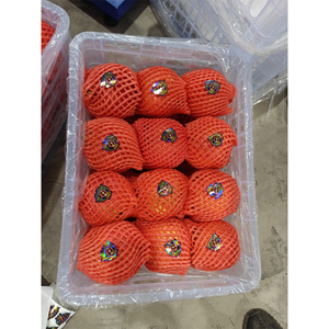 <span class=keywords><strong>2025</strong></span> tươi cây trồng Ruby lựu đỏ hạt giống mềm mại và ngọt ngào arils ngon ngọt và ngon - Product Image 5