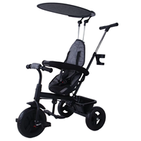 Poussette de tricycle pour enfant T306C-1 avec poignée de poussée réglable et auvent amovible