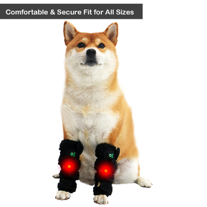 Cinto de Terapia com Luz Vermelha Pawbrio para Cães 660nm 850nm Alívio da Dor Terapia para as Pernas para Uso Doméstico - Product Image 6