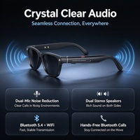 Lunettes intelligentes avec IA et écran d'affichage, affichage des notifications + caméra + traduction, batterie amovible