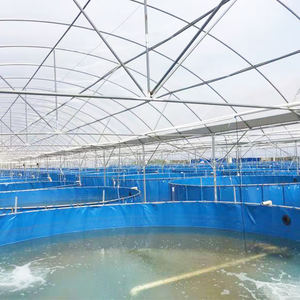 Soiless cultura sistema simbiótico agrícola pescado cultura greenhuouse granja hidropónica sistemas de cultivo - Product Image 4