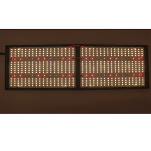 Original LM301H Led V5 Board 240w Grow Light FG2000-V5 3500K 3000K Mix 660nm 730nm 395nm MeanWell Driver