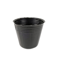 Kualitas tinggi 8cm Pot pembibitan hitam Pot bunga lembut Biodegradable untuk pembibitan