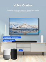 ZS05 Tuya ZigBee Pengendali Jarak Jauh IR untuk AC TV Pengendali Bertenaga Baterai Suara oleh Alexa Google Home