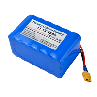 Batterie au lithium-ion personnalisée 12V 11.1V 10-30Ah 3S 4S 18650 pour AGV AMR, robot de nettoyage portable et instrument de test industriel