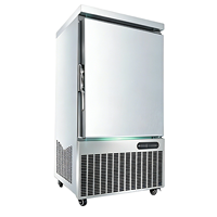 Congélateur vertical commercial à 1 porte, dégivrage automatique, congélation rapide, 5-15 plateaux, conteneurisé, en acier inoxydable, haute performance