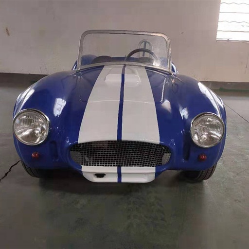 Заводские цены, электрическое зарядное устройство 2200 Вт Mini Cobra для автомобиля, оригинальный цвет батареи под заказ