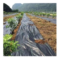 Toile tissée anti-mauvaises herbes, tapis de contrôle des adventices, barrière en tissu paysager, couverture de sol agricole