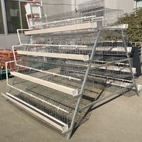Nuevo gallinero de acero galvanizado tipo A para 1000 aves, jaula de malla flexible para gallinas ponedoras, fabricación de 2 años de duración