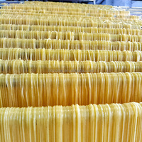 Machine à nouilles automatique multifonctionnelle en acier inoxydable 304, extrudeuse commerciale haute capacité pour spaghetti et vermicelles de riz