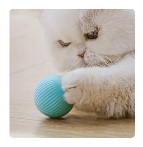Jouets intelligents pour chat Balle électrique pour animaux de compagnie Balle roulante automatique Jouets interactifs pour chat Formation Auto-mobile Cataire Jouets pour chat