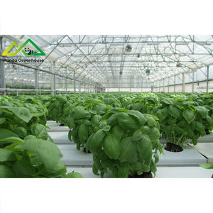 Gran Oferta: Kit de Invernadero Hidropónico Inteligente con Energía Solar, Monitoreo IoT, Diseño Modular, <span class=keywords><strong>Agricultura</strong></span> <span class=keywords><strong>Sostenible</strong></span> - Product Image 6
