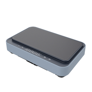 Plataforma vibratoria de placa vibratoria PANPAO con terapia magnética, ejercicio físico para máquina de entrenamiento - Product Image 1