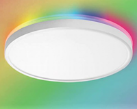 Plafonniers LED ronds intelligents à montage en surface, personnalisés pour l'intérieur, 24 W, RGB, 2700 K-6000 K, CCT réglable, Banqcn