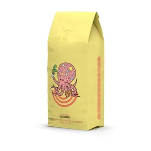 Gran Diseño al por mayor 250g 300g 500g Carrier Food Grade Stand up Brown Kraft Paper Food Pouch Bolsa de café