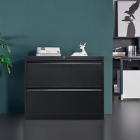 Armoire métallique large à 2 tiroirs pour la maison et le bureau, pouvant contenir des dossiers de lettres, juridiques et A4 suspendus.