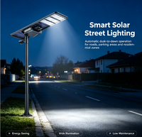 Tête de lampadaire solaire LED étanche IP65 haute luminosité 50W, tête de lampe de remplacement pour projet municipal