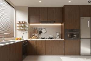 Cuisine moderne haut de gamme, style luxueux, comptoir modulaire personnalisé en stratifié, caisson en contreplaqué, robinet en verre, armoire murale - Product Image 2