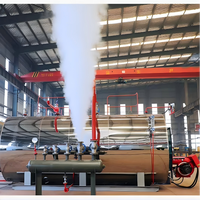 Chaudière à eau chaude à gaz basse pression horizontale automatique industrielle à haute efficacité énergétique