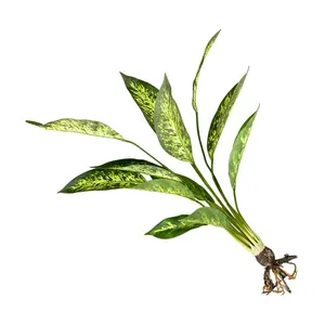 Nhà Sản Xuất Nhân Tạo Chuyên Nghiệp Cây Trang Trí 12 Lá Chuối Có Rễ - Product Image 1