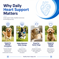 Complément alimentaire quotidien pour le soin du cœur des chiens, favorise la circulation et la vitalité pour toutes les races, développé par des vétérinaires, soutien cardiaque pour animaux de compagnie