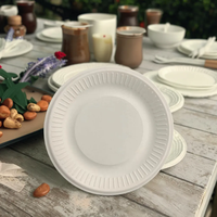 Assiette ronde jetable robuste en pulpe de canne à sucre, résistante à l'huile, compostable, en bagasse, pour la restauration de plats chauds, les mariages et les événements