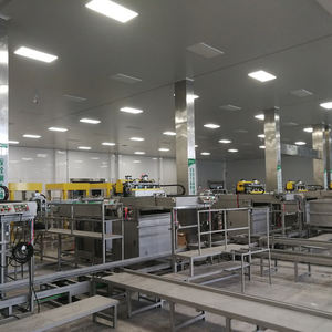 خط إنتاج ومعالجة الفطر الآلي LWT، مصنع ومعدات معالجة الفطر - Product Image 6