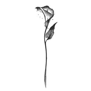 สติ๊กเกอร์แทททูสมุนไพรกันน้ำรูปผู้หญิงแบบถาวรมีตัว<span class=keywords><strong>อักษร</strong></span>แบบกึ่งถาวรที่มีตัวอักษรติดไหปลาร้าความรู้สึกสูง<span class=keywords><strong>ที่</strong></span><span class=keywords><strong>แขน</strong></span>หน้าอก - Product Image 5