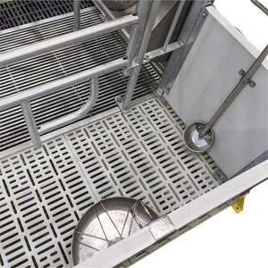 Cage de mise bas bien-être pour porcs - Product Image 4