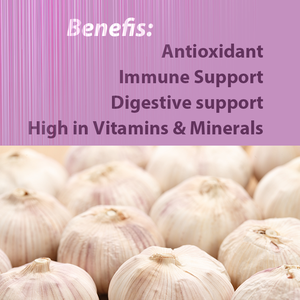 OEM ODM sarımsak özü kapsüller antioksidan destek bağışıklık sistemi ve kardiyovasküler fonksiyon sindirim desteğ<span class=keywords><strong>i</strong></span> Vegan NO-GMO - Product Image 3