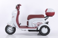 Scooter électrique à trois roues pour adultes et personnes âgées, tricycle ouvert pour 2 passagers, design luxueux, batterie au plomb-acide