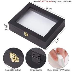 Kit de <span class=keywords><strong>boîte</strong></span> à insectes pour <span class=keywords><strong>entomologie</strong></span>, <span class=keywords><strong>boîte</strong></span> de présentation en bois noir avec mousse EVA et épingles pour spécimens - Product Image 4