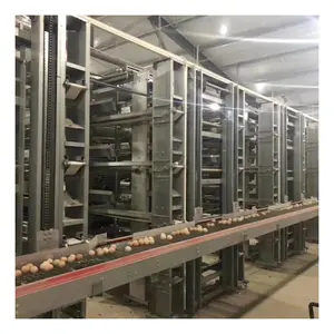 Factory Direct Sale chicken battery cages egg layer 5000 layer cage for laying chickens h-shaped chicken cage