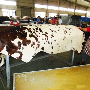 Fornitura all'Ingrosso di Tappeti in Pelle Bovina, Conciati con Fosforo Organico, Pelle di Mucca Naturale con Pelo, Grandi Dimensioni - Product Image 3