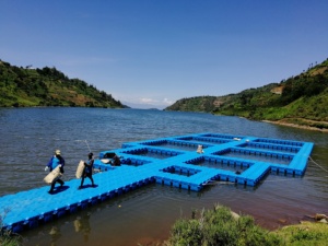 Gabbia Quadrata per Acquacoltura 8mx8m Trappola per Pesci in Vendita - Product Image 3