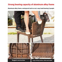 Table à manger moderne anti-corrosion en PE rotin plastique bois mobilier d'intérieur pour cour loisirs terrasse extérieur