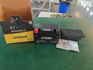 Batería de Litio LFS03-30 para Motocicleta, Repuestos para Haojue, Lifan, <span class=keywords><strong>VOGE</strong></span>, <span class=keywords><strong>BMW</strong></span>, Honda, Yamaha - Product Image 3