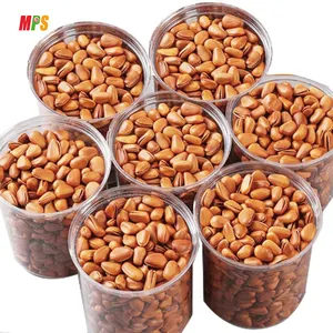 Supplier Wholesale Organic Pine Nuts Kernel Cheap Price Roasted Dried Nut Snacks Open Pine Nut