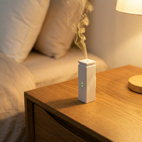 Diffuseur d'arômes USB portable et léger CREAROMA, sans eau, pour huiles essentielles, mini diffuseur double liquide pour voiture, maison et chambre