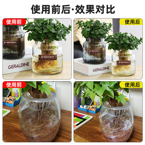 Comprimés de purification d'eau pour plantes hydroponiques Cpai, bouteille de 110g+10g pour le jardinage en serre intérieure - Product Image 4