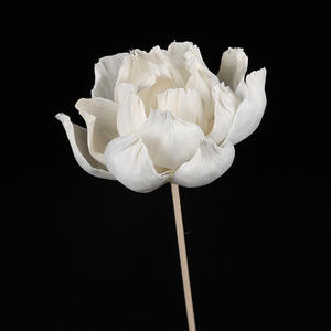 Yopin-2568 casa fragranza fiore di legno fatto a mano secca <span class=keywords><strong>Sola</strong></span> legno peonia fiori - Product Image 5