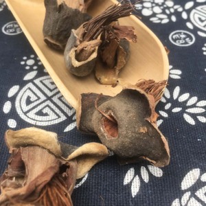 มูมิอันธรรมชาติ hotsale แห้งใหม่ Bombax Ceiba ผ้าไหมสีแดงดอกไม้ฝ้าย - Product Image 3