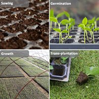 Trilite 72 cellules, serre agricole, plateaux à semis durables, plateaux de pépinière pour légumes et fleurs