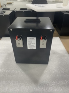 Batería para Triciclo Pedicab en Forma de Cubo de 2500W, Vehículo de Tres Ruedas, Baterías de 48V 51.2V 50Ah con BMS DL-5150 - Product Image 4